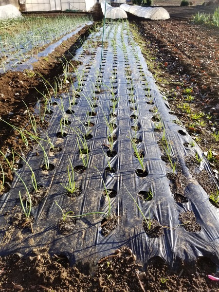 20191227_151338-2268x3024