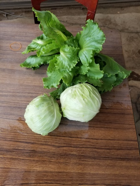 20190807_085038-1620x2160