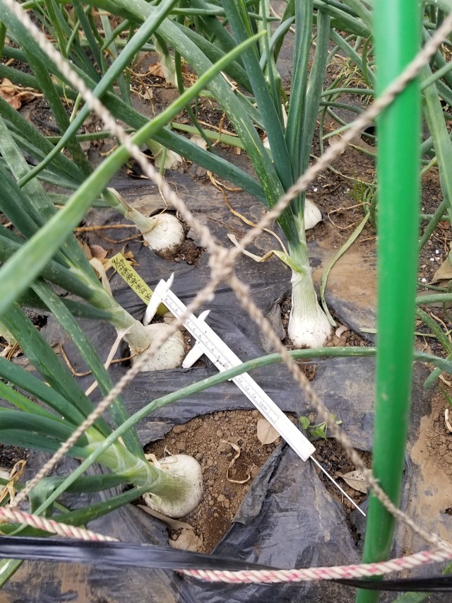 20231219_095110_copy_1512x2016