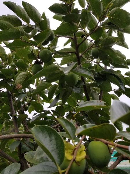 20190816_113242-1620x2160