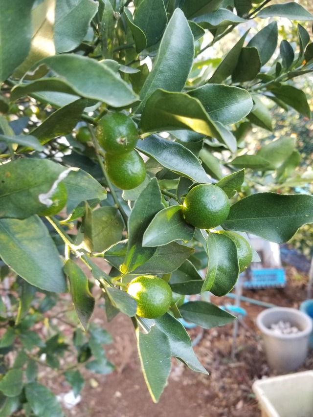 20231218_150237_copy_1512x2016