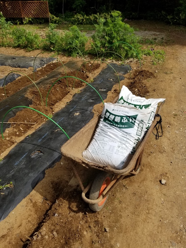 20230429_093642_copy_1512x2016