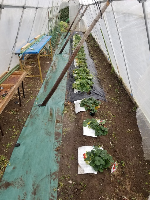 20240218_135718_copy_2268x3024