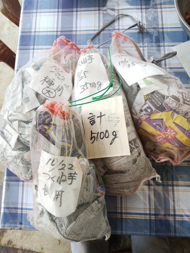 IMG_20231026_110243_copy_1512x2016