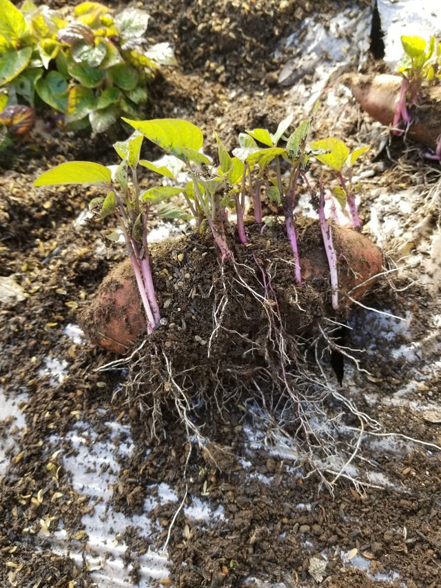 20230311_143302_copy_1209x1612