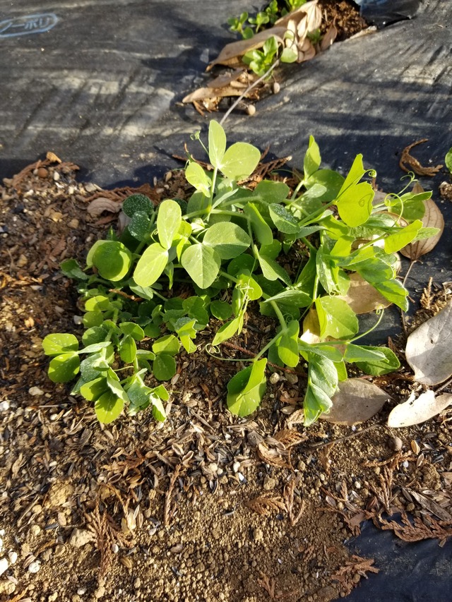 20220119_081452_copy_2268x3024