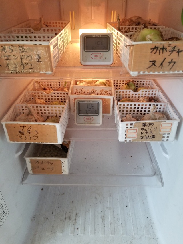 20230624_144251_copy_1512x2016