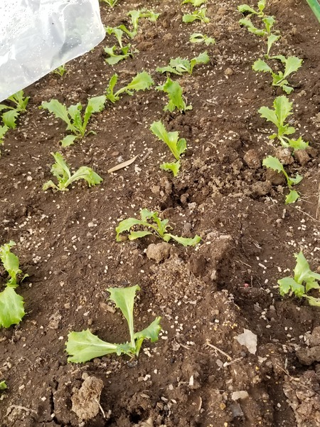 20191228_150943-2268x3024