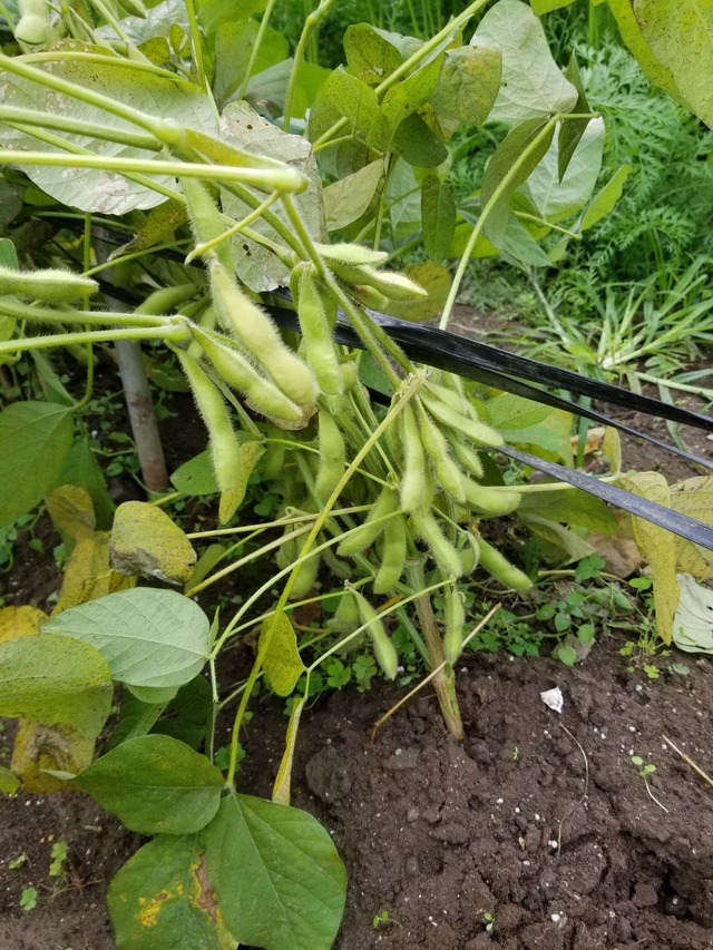 20211031_080024_copy_2268x3024