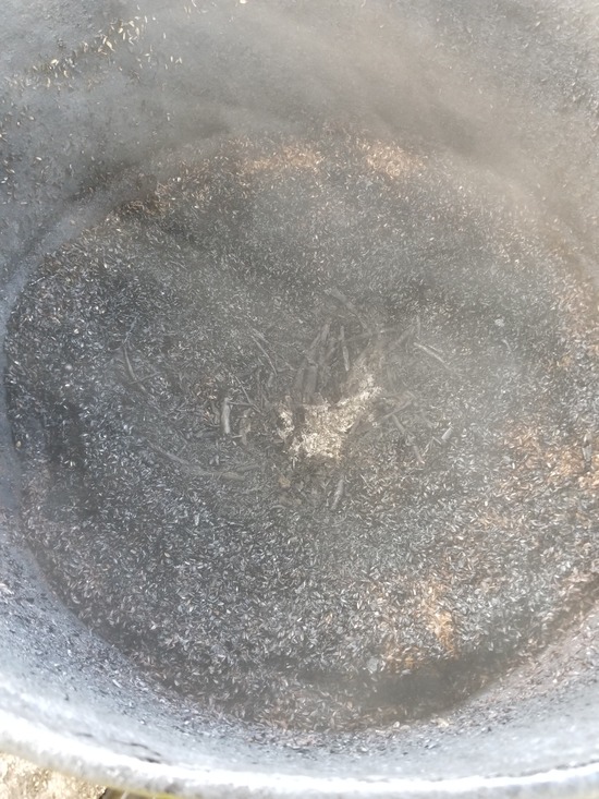 20191117_081912-1620x2160