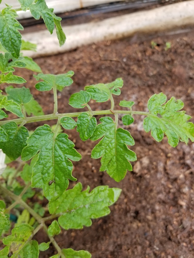 20210425_084722_copy_2268x3024