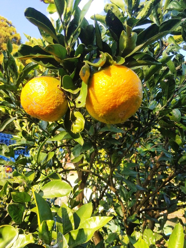 IMG_20231108_140913_DRO_copy_1512x2016