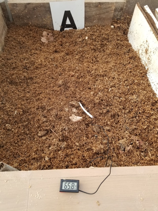 20231221_074705_copy_1512x2016