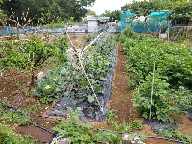 20190603_071416-2160x1620