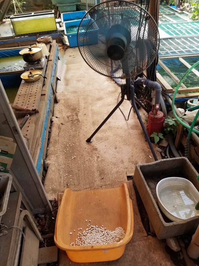 20230725_153233_copy_1512x2016