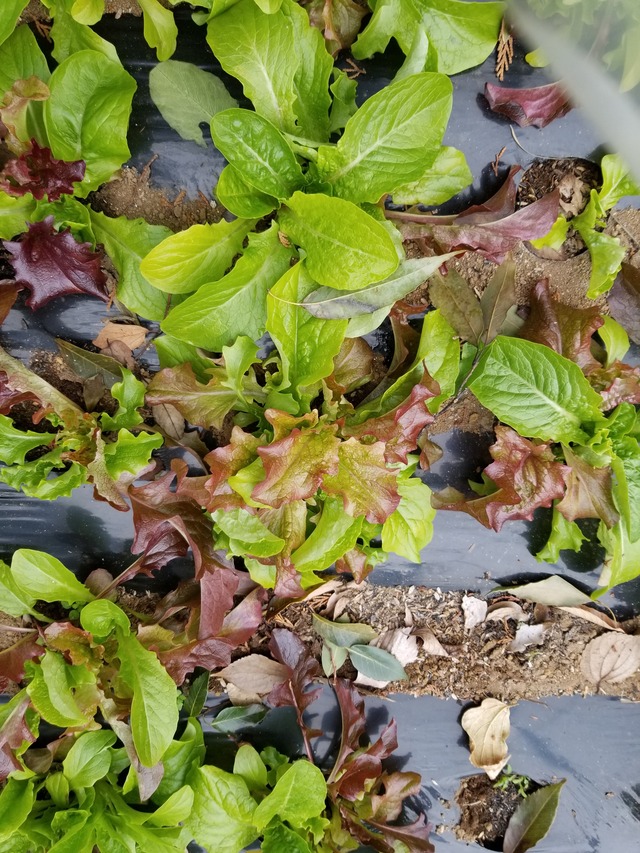 20220110_105808_copy_2268x3024