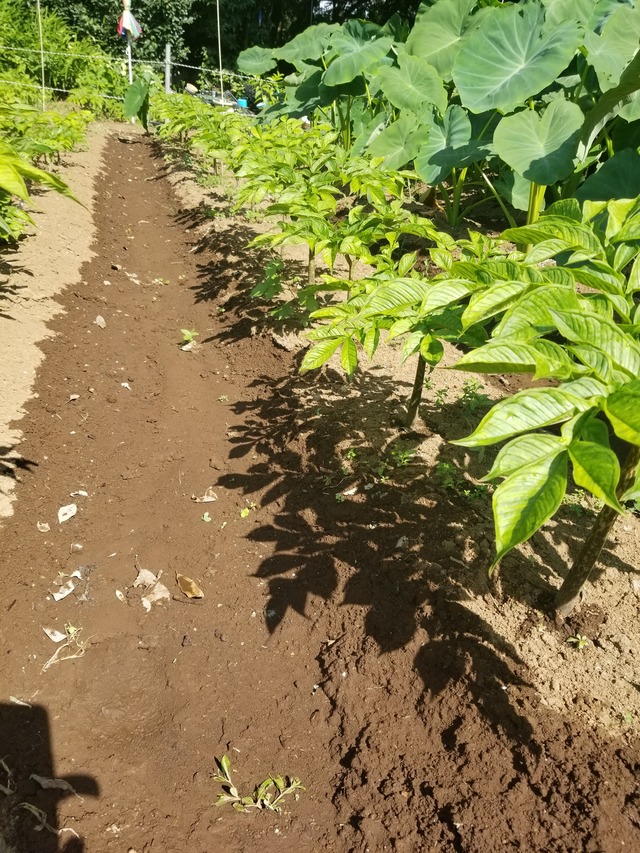 20210721_084814_copy_2268x3024