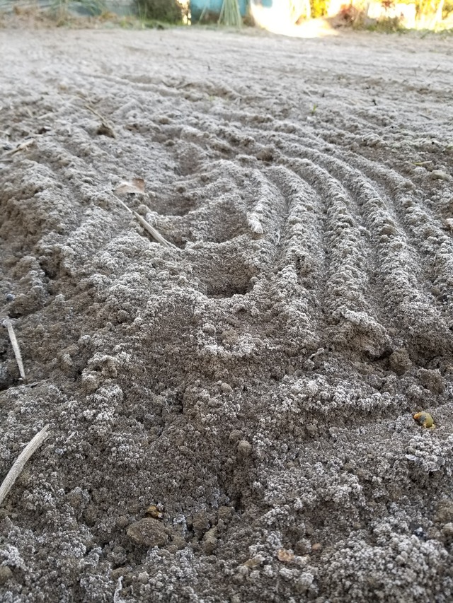 20201216_072756_copy_2268x3024