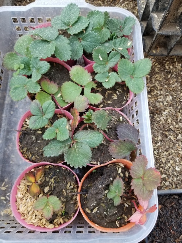 20230102_103154_copy_1512x2016