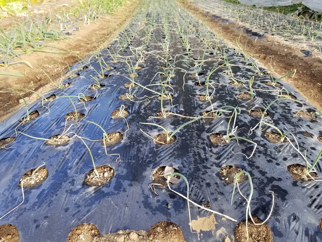 20210106_083607_copy_3024x2268