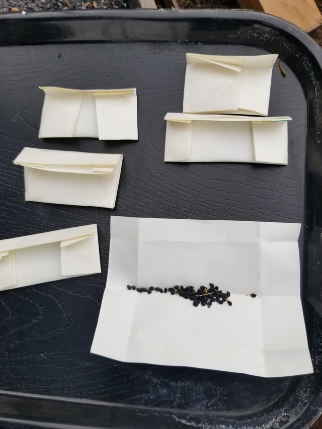 20230801_144438_copy_1512x2016