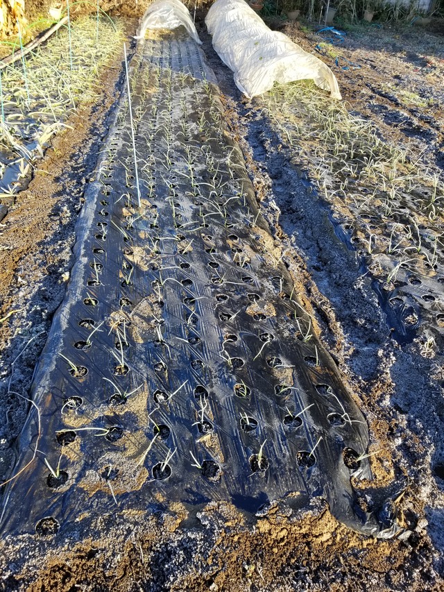 20211220_075031_copy_2268x3024