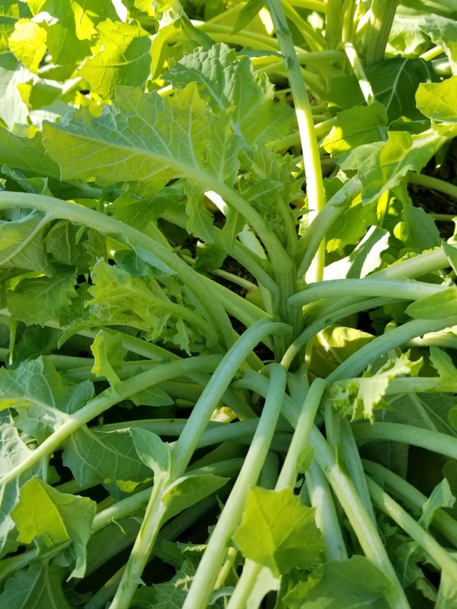 20230104_084430_copy_2268x3024