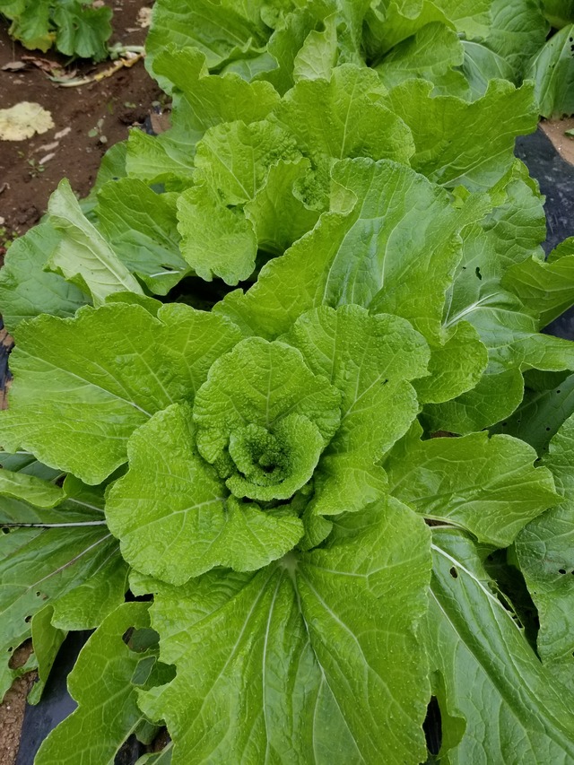 20211031_093543_copy_2268x3024