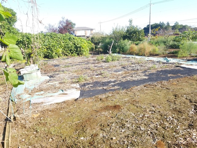 IMG_20231003_081111_copy_2016x1512