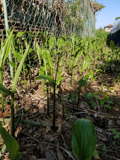 20190516_074455-1620x2160