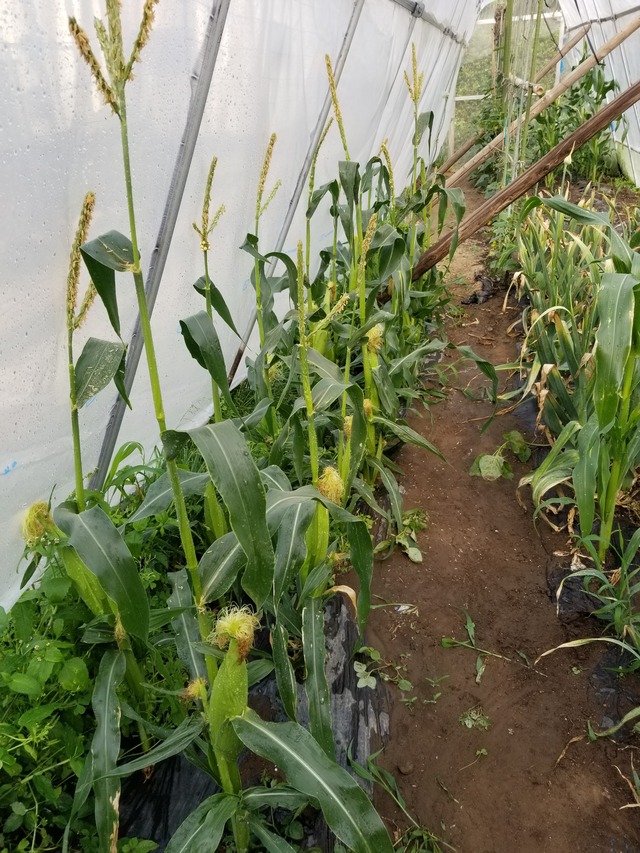 20230522_150714_copy_2268x3024