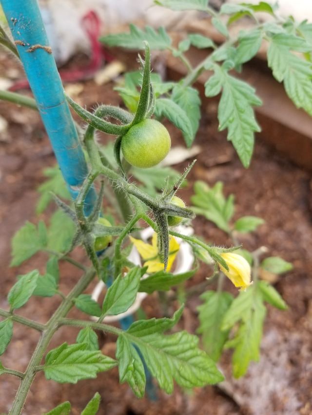 20210425_084600_copy_2268x3024