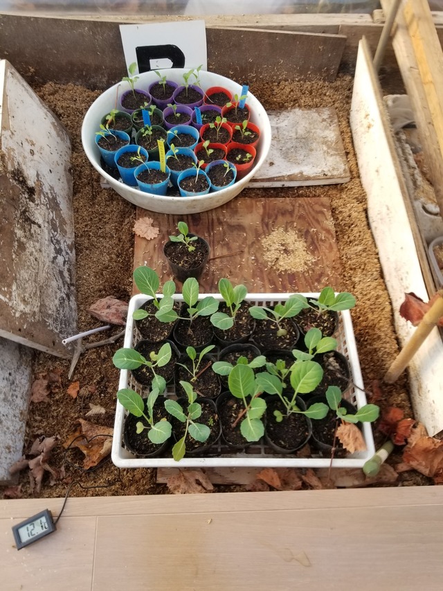 20231221_080514_copy_1512x2016