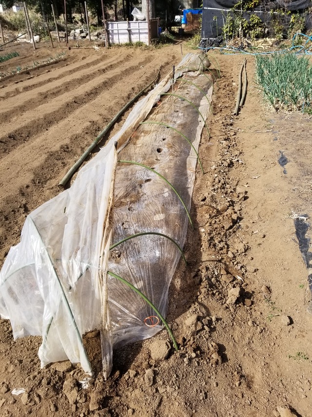 20230311_140219_copy_1209x1612