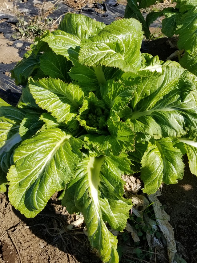 20240214_103645_copy_2268x3024