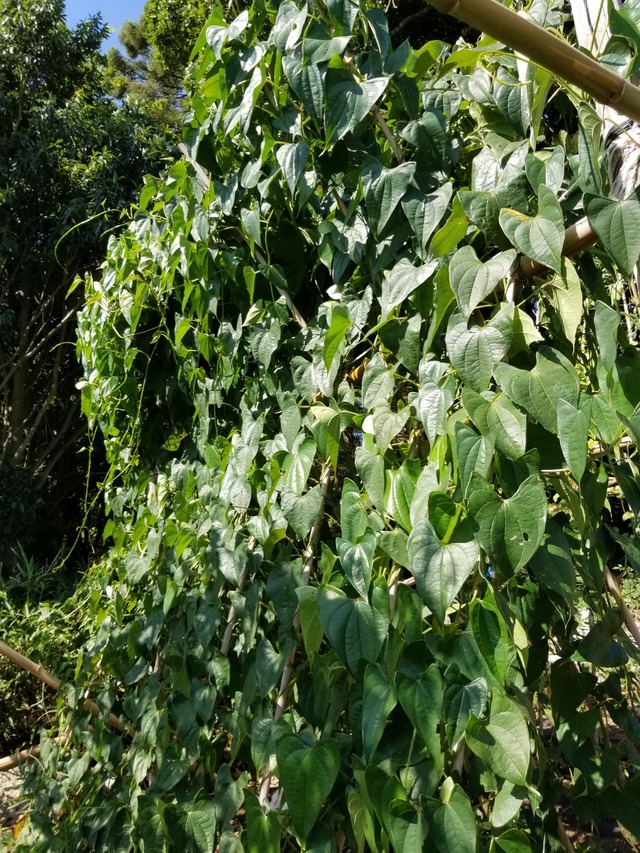 20230805_145247_copy_1512x2016