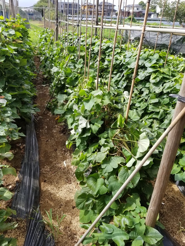 20230813_091455_copy_1512x2016