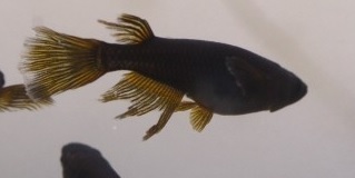 ホーム画面エクスブローラー14111111