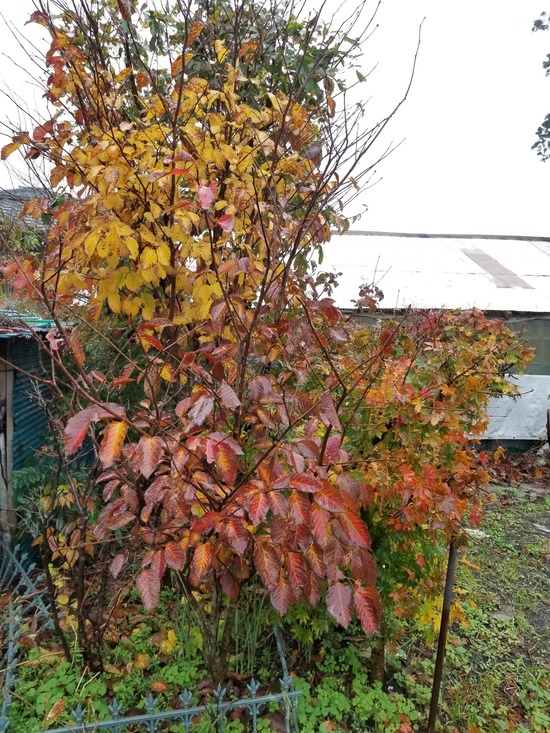 20191123_152623-1620x2160