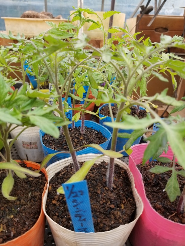 20240326_094157_copy_2268x3024