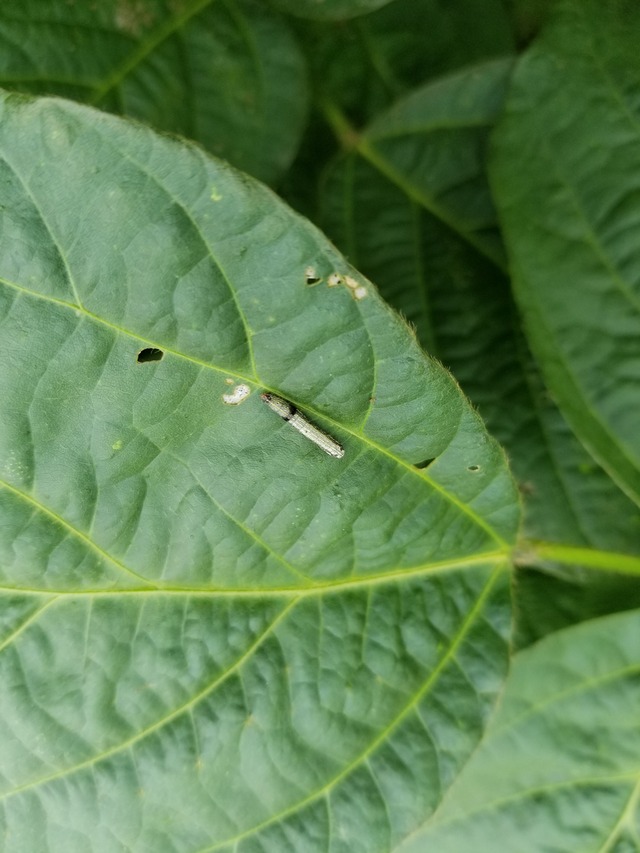 20210906_084249_copy_2268x3024