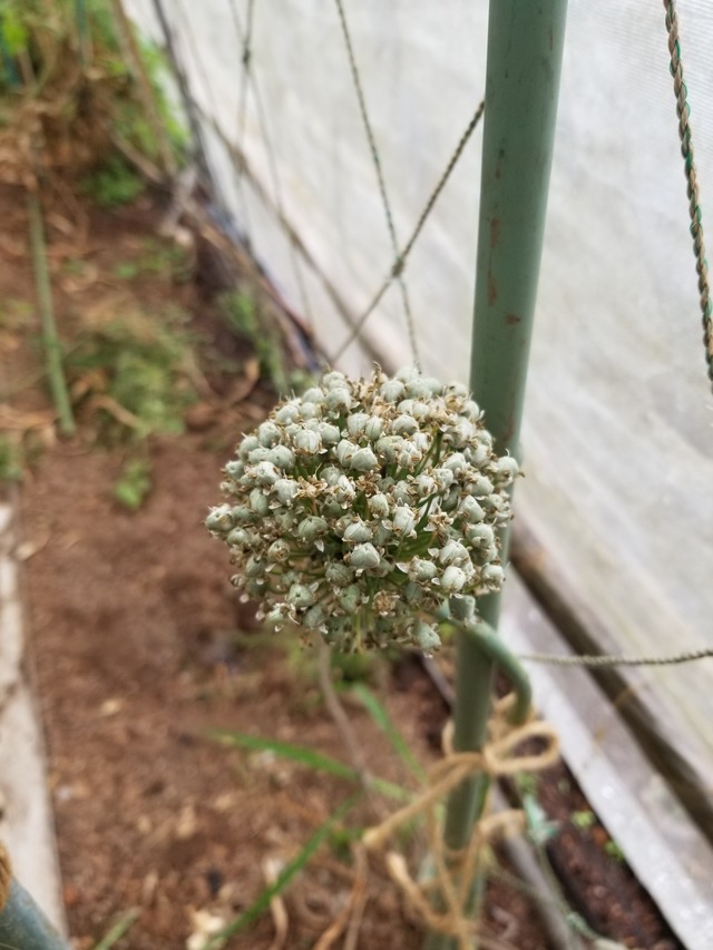 20230530_074654_copy_1512x2016