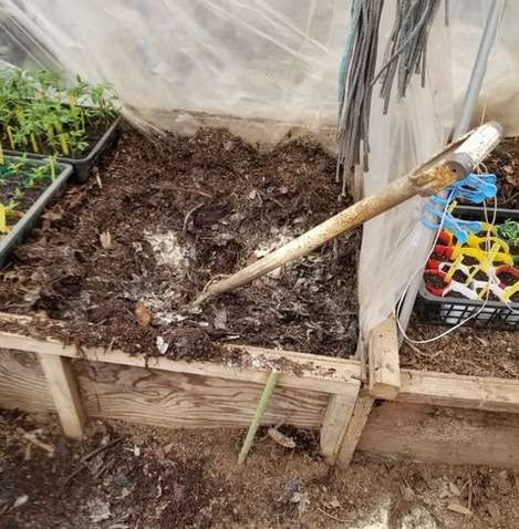 20190330_091407-1024x1365