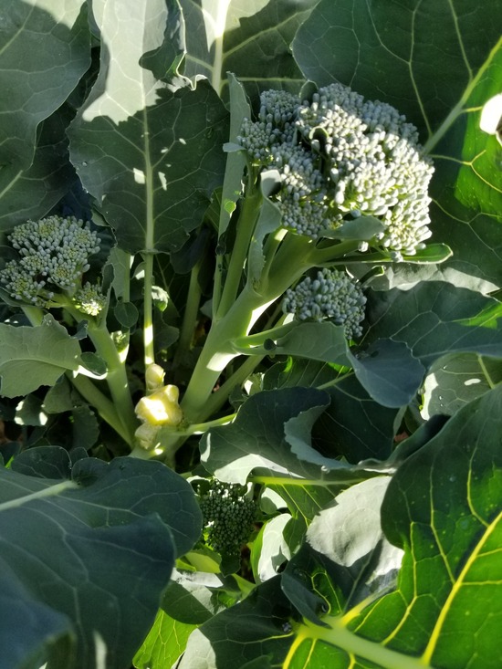 20191115_085842-1620x2160