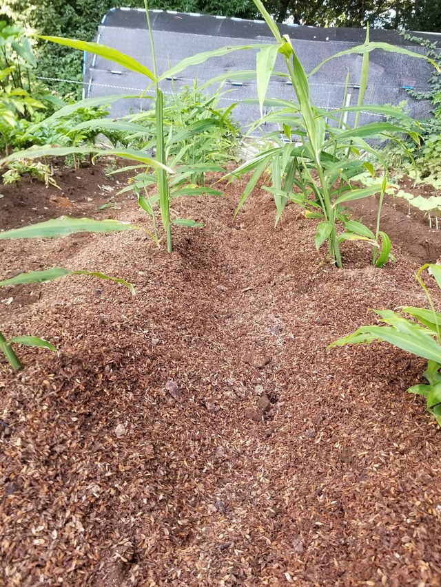 20230802_072553_copy_1512x2016