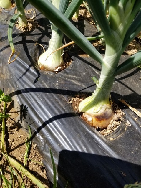 20190509_092253-1620x2160