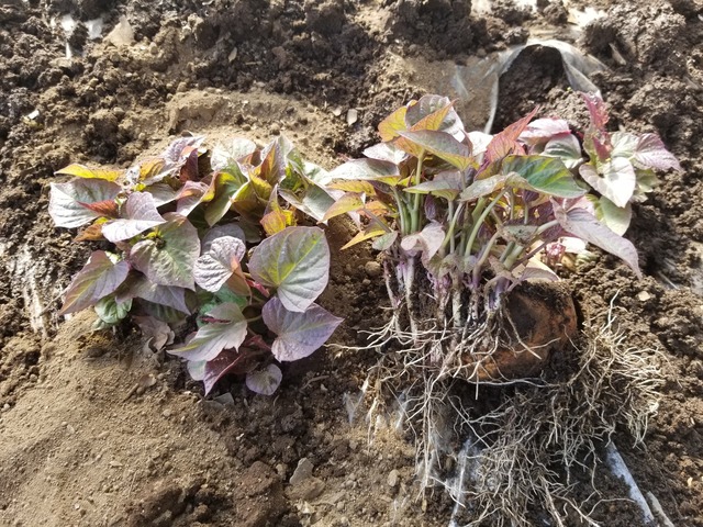 20230311_145944_copy_1612x1209