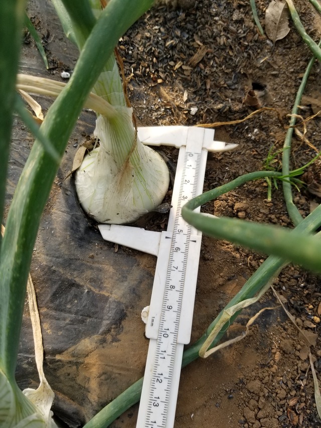 20231210_145218_copy_1512x2016