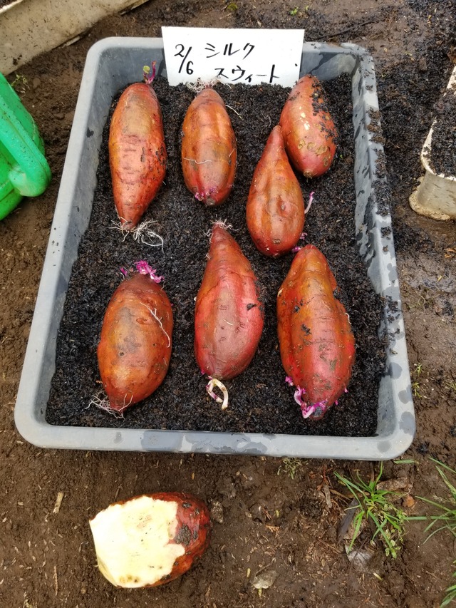 20240220_090044_copy_2268x3024