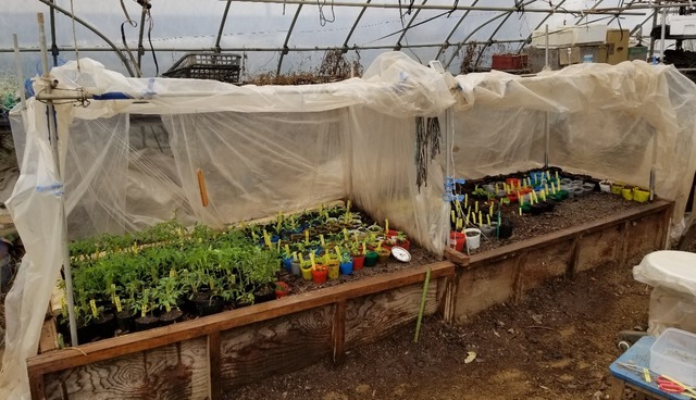 20190330_102533-1365x1024